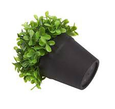 گلدان نشا