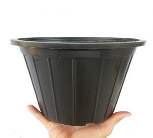 گلدان سطلی