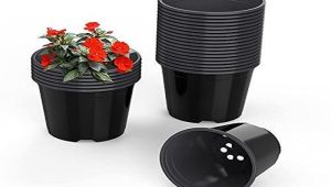 قیمت عمده گلدان